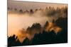 Fog and Trees Darkness and Light Marin San Francisco-Vincent James-Mounted Photographic Print