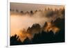 Fog and Trees Darkness and Light Marin San Francisco-Vincent James-Framed Photographic Print