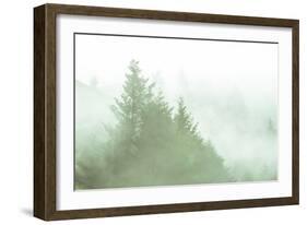 Fog Art Impressions Nature Detail-Vincent James-Framed Photographic Print