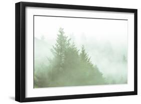 Fog Art Impressions Nature Detail-Vincent James-Framed Photographic Print