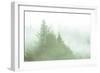 Fog Art Impressions Nature Detail-Vincent James-Framed Photographic Print