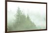 Fog Art Impressions Nature Detail-Vincent James-Framed Photographic Print