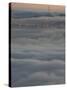 Fog Bank from the Berkeley Hills, San Francisco Bay, California-Josh Anon-Stretched Canvas