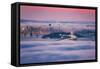 Fog City Dream, San Francisco Night Cityscape and Sunset Fog-Vincent James-Framed Stretched Canvas