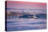 Fog City Dream, San Francisco Night Cityscape and Sunset Fog-Vincent James-Stretched Canvas