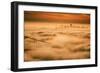 Fog City Mood, Golden Gate Bridge, San Francisco Bay Area Sunrise-Vincent James-Framed Photographic Print