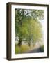 Fog Covered Road Through Landscape, Cades Cove, Great Smoky Mountains National Park, Tennessee, USA-Adam Jones-Framed Photographic Print