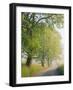 Fog Covered Road Through Landscape, Cades Cove, Great Smoky Mountains National Park, Tennessee, USA-Adam Jones-Framed Photographic Print