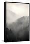 Fog Covering The Mountain Forests-Gudella-Framed Stretched Canvas