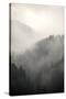 Fog Covering The Mountain Forests-Gudella-Stretched Canvas