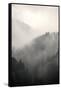 Fog Covering The Mountain Forests-Gudella-Framed Stretched Canvas