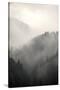 Fog Covering The Mountain Forests-Gudella-Stretched Canvas