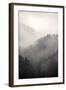 Fog Covering The Mountain Forests-Gudella-Framed Art Print