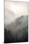 Fog Covering The Mountain Forests-Gudella-Mounted Art Print