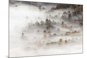 Fog filled valley at sunrise, Blue Ridge Parkway, Brevard, North Carolina-Adam Jones-Mounted Photographic Print