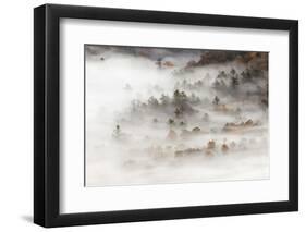 Fog filled valley at sunrise, Blue Ridge Parkway, Brevard, North Carolina-Adam Jones-Framed Photographic Print