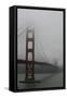 Fog (Fog) on the Golden Gate Bridge in San Francisco, California.-null-Framed Stretched Canvas