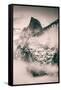 Fog Framed Half Dome and Yosemite Valley, National Parks, California-Vincent James-Framed Stretched Canvas