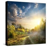 Fog in Autumn Wood at the Sunrise-Givaga-Stretched Canvas