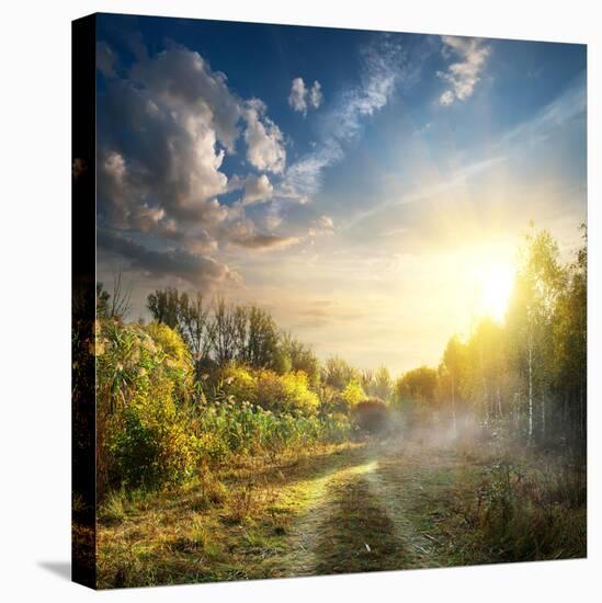 Fog in Autumn Wood at the Sunrise-Givaga-Stretched Canvas