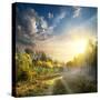 Fog in Autumn Wood at the Sunrise-Givaga-Stretched Canvas