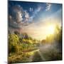 Fog in Autumn Wood at the Sunrise-Givaga-Mounted Photographic Print