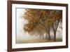 Fog in Fall-David Winston-Framed Giclee Print