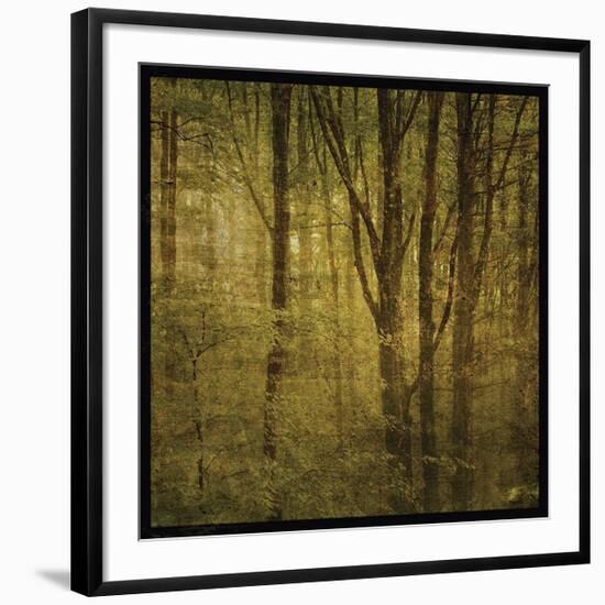 Fog in Mountain Trees No. 2-John Golden-Framed Giclee Print