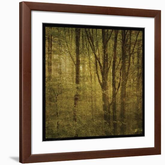 Fog in Mountain Trees No. 2-John Golden-Framed Giclee Print