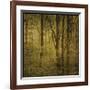 Fog in Mountain Trees No. 2-John Golden-Framed Giclee Print