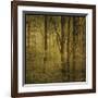 Fog in Mountain Trees No. 2-John Golden-Framed Giclee Print