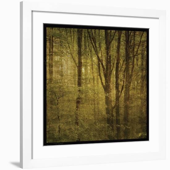 Fog in Mountain Trees No. 2-John Golden-Framed Giclee Print