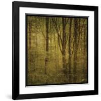 Fog in Mountain Trees No. 2-John Golden-Framed Giclee Print