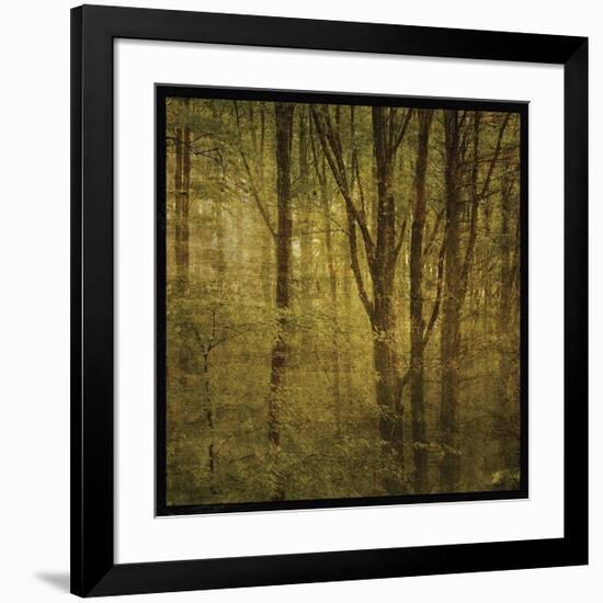 Fog in Mountain Trees No. 2-John Golden-Framed Giclee Print