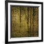 Fog in Mountain Trees No. 2-John Golden-Framed Giclee Print