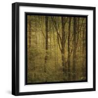 Fog in Mountain Trees No. 2-John W Golden-Framed Giclee Print