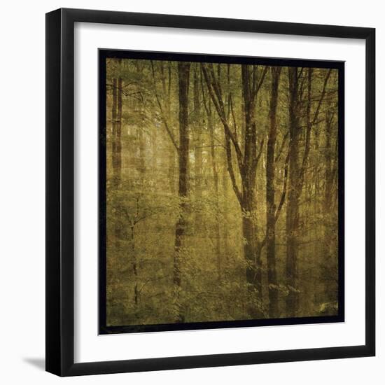 Fog in Mountain Trees No. 2-John W Golden-Framed Giclee Print