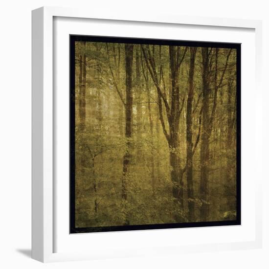 Fog in Mountain Trees No. 2-John W Golden-Framed Giclee Print