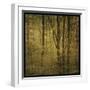 Fog in Mountain Trees No. 2-John W Golden-Framed Giclee Print