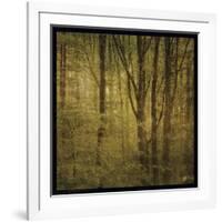 Fog in Mountain Trees No. 2-John W Golden-Framed Giclee Print