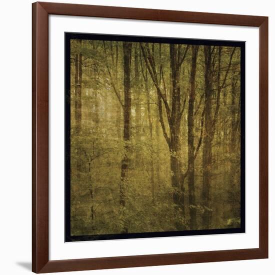 Fog in Mountain Trees No. 2-John W Golden-Framed Giclee Print