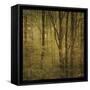 Fog in Mountain Trees No. 2-John W Golden-Framed Stretched Canvas