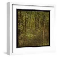 Fog in Mountain Trees-John Golden-Framed Art Print