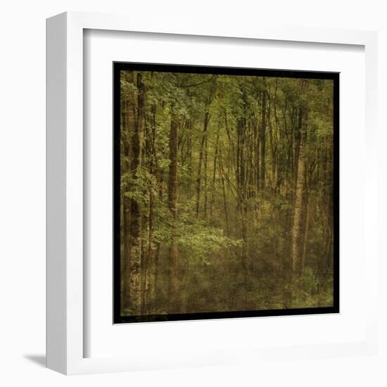 Fog in Mountain Trees-John Golden-Framed Art Print