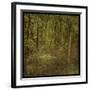 Fog in Mountain Trees-John Golden-Framed Art Print