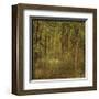 Fog in Mountain Trees-John Golden-Framed Giclee Print