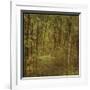 Fog in Mountain Trees-John Golden-Framed Giclee Print
