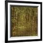 Fog in Mountain Trees-John Golden-Framed Giclee Print