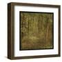 Fog in Mountain Trees-John W^ Golden-Framed Art Print