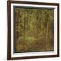 Fog in Mountain Trees-John W^ Golden-Framed Art Print